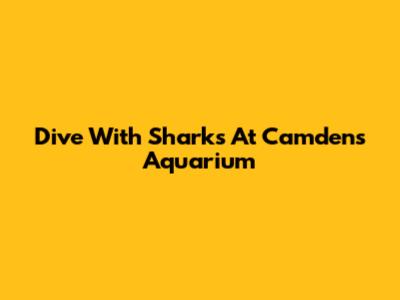 Dive With Sharks At Camden's Aquarium