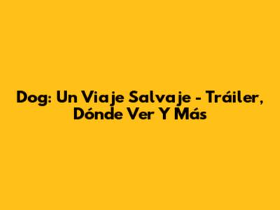 Dog: Un Viaje Salvaje - Tráiler, Dónde Ver Y Más