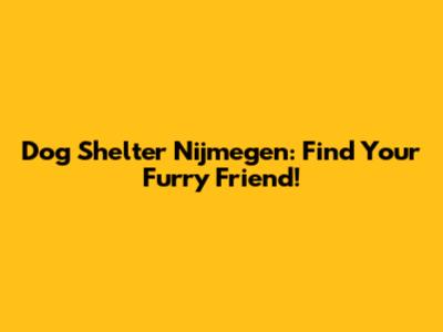Dog Shelter Nijmegen: Find Your Furry Friend!
