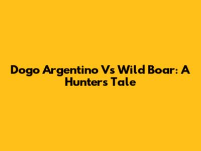 Dogo Argentino Vs Wild Boar: A Hunter's Tale