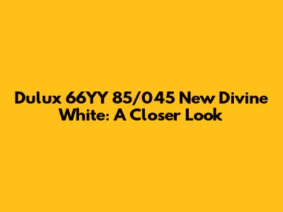 Dulux 66YY 85/045 New Divine White: A Closer Look