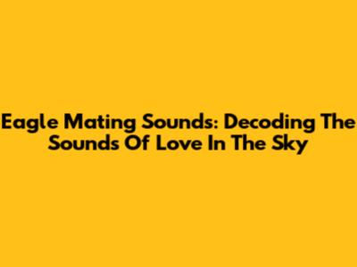 Eagle Mating Sounds: Decoding The Sounds Of Love In The Sky