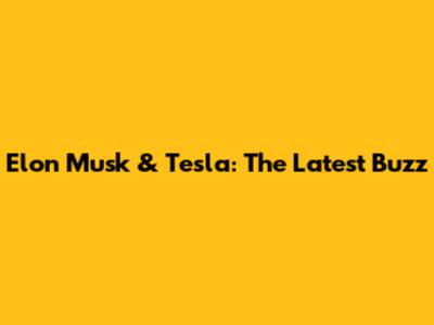 Elon Musk & Tesla: The Latest Buzz