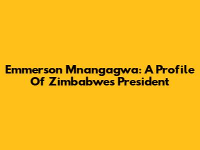 Emmerson Mnangagwa: A Profile Of Zimbabwe's President