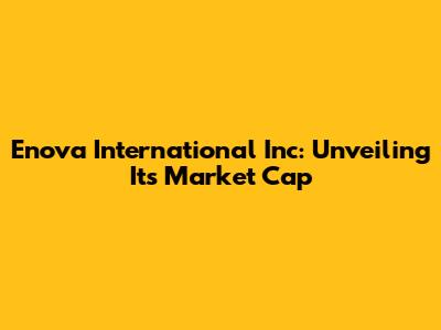 Enova International Inc: Unveiling Its Market Cap