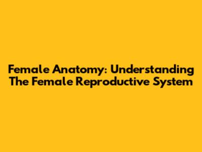 Female Anatomy: Understanding The Female Reproductive System