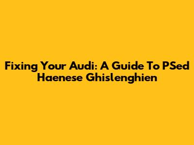 Fixing Your Audi: A Guide To PSed Haenese Ghislenghien