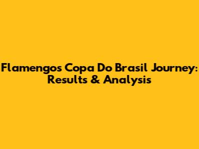 Flamengo's Copa Do Brasil Journey: Results & Analysis