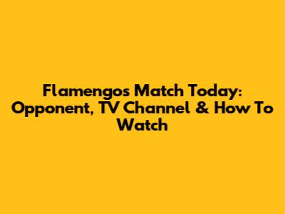 Flamengo's Match Today: Opponent, TV Channel & How To Watch