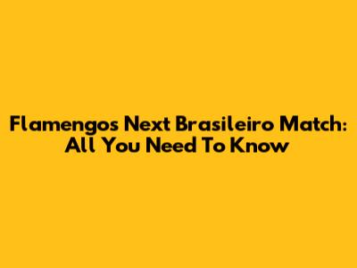 Flamengo's Next Brasileiro Match: All You Need To Know