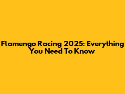 Flamengo Racing 2025: Everything You Need To Know