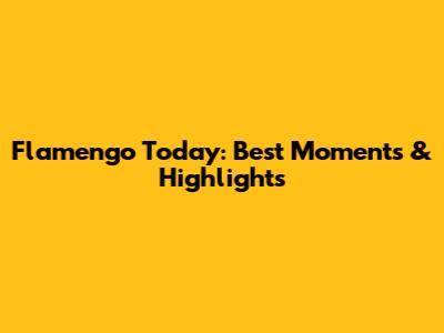 Flamengo Today: Best Moments & Highlights