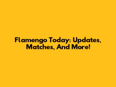 Flamengo Today: Updates, Matches, And More!