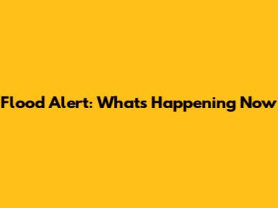 Flood Alert: What's Happening Now