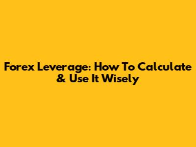 Forex Leverage: How To Calculate & Use It Wisely