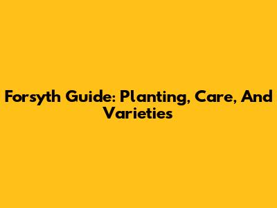 Forsyth Guide: Planting, Care, And Varieties