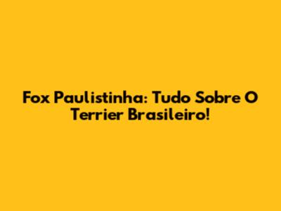 Fox Paulistinha: Tudo Sobre O Terrier Brasileiro!