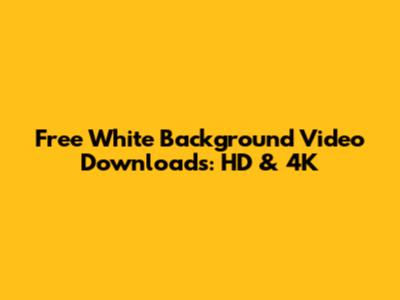 Free White Background Video Downloads: HD & 4K