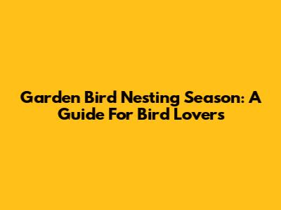 Garden Bird Nesting Season: A Guide For Bird Lovers