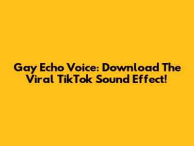 Gay Echo Voice: Download The Viral TikTok Sound Effect!