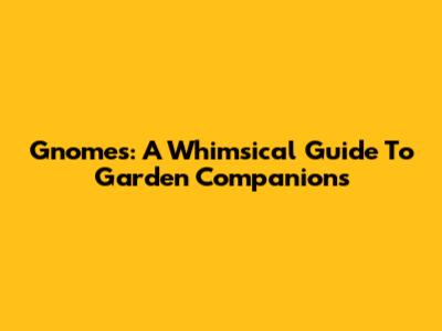 Gnomes: A Whimsical Guide To Garden Companions