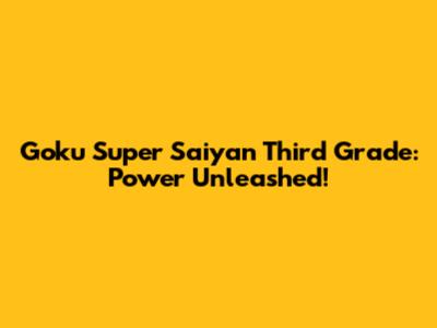 Goku Super Saiyan Third Grade: Power Unleashed!