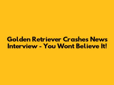 Golden Retriever Crashes News Interview - You Won't Believe It!