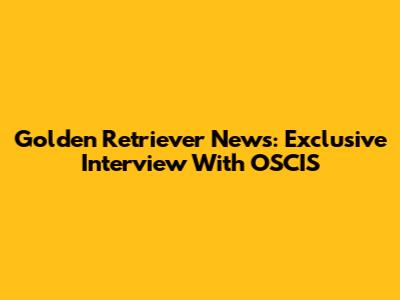 Golden Retriever News: Exclusive Interview With OSCIS