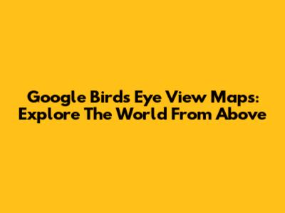 Google Bird's Eye View Maps: Explore The World From Above