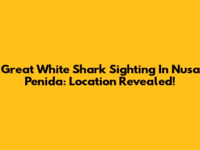 Great White Shark Sighting In Nusa Penida: Location Revealed!