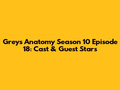Grey's Anatomy Season 10 Episode 18: Cast & Guest Stars