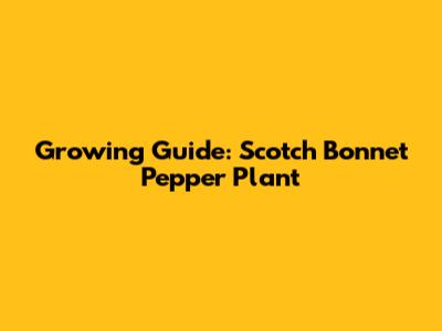 Growing Guide: Scotch Bonnet Pepper Plant