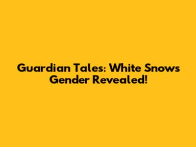 Guardian Tales: White Snow's Gender Revealed!