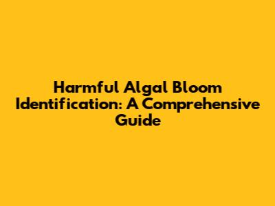 Harmful Algal Bloom Identification: A Comprehensive Guide