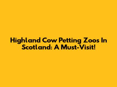Highland Cow Petting Zoos In Scotland: A Must-Visit!