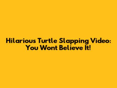 Hilarious Turtle Slapping Video: You Won't Believe It!