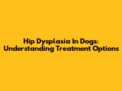 Hip Dysplasia In Dogs: Understanding Treatment Options