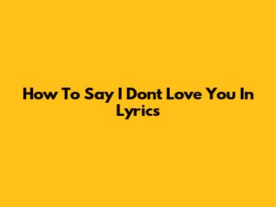 How To Say 'I Don't Love You' In Lyrics