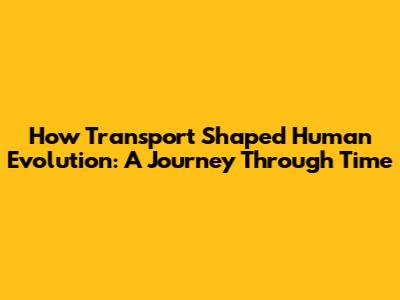 How Transport Shaped Human Evolution: A Journey Through Time