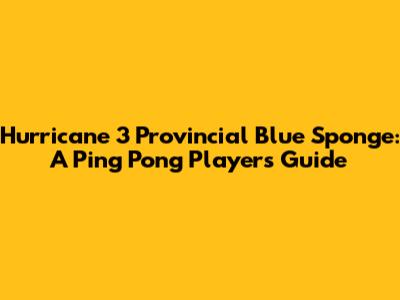 Hurricane 3 Provincial Blue Sponge: A Ping Pong Player's Guide
