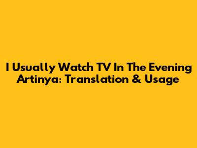 I Usually Watch TV In The Evening Artinya: Translation & Usage