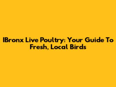 IBronx Live Poultry: Your Guide To Fresh, Local Birds