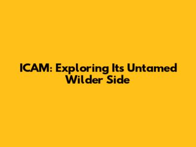 ICAM: Exploring Its Untamed Wilder Side