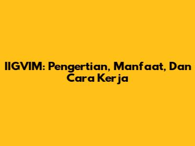 IIGVIM: Pengertian, Manfaat, Dan Cara Kerja