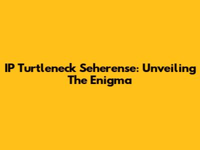 IP Turtleneck Seherense: Unveiling The Enigma
