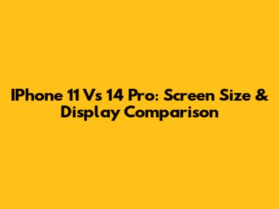 IPhone 11 Vs 14 Pro: Screen Size & Display Comparison