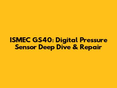 ISMEC GS40: Digital Pressure Sensor Deep Dive & Repair