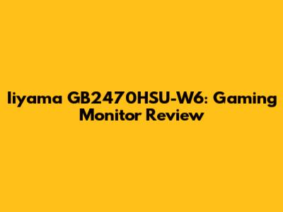 Iiyama GB2470HSU-W6: Gaming Monitor Review
