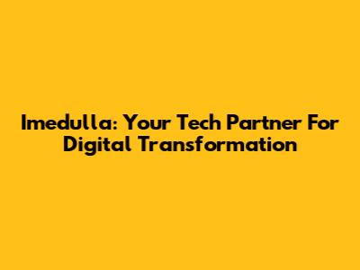 Imedulla: Your Tech Partner For Digital Transformation