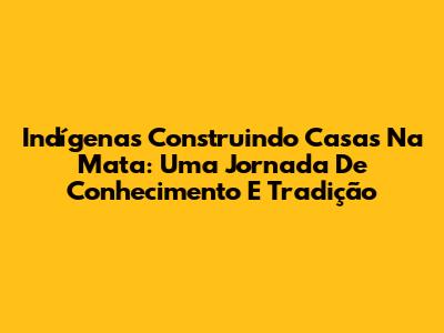 Indígenas Construindo Casas Na Mata: Uma Jornada De Conhecimento E Tradição